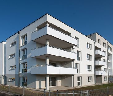 HOLLABRUNN XV/2 - Foto 4