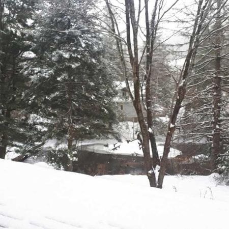 5 1/2 foyer (wifi inclus) terrain bordé d'un étang - Photo 4