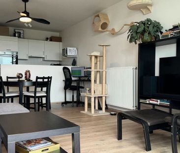 Appartement te huur in Borgerhout voor € 985 met 2 slaapkamers - Foto 1