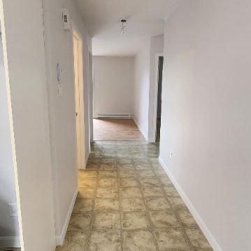 Logement 5 1/2 secteur recherché - Photo 4