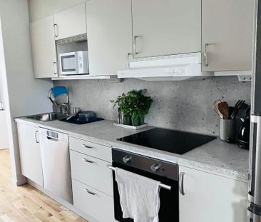 Orions bälte, Brandbergen - Photo 1