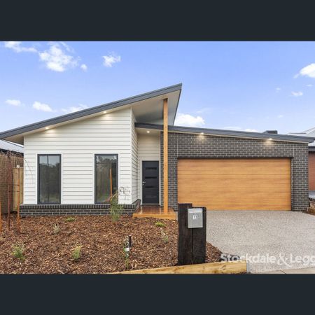 6 Cardiff Street, Bell Post Hill, Vic 3215 - Photo 4