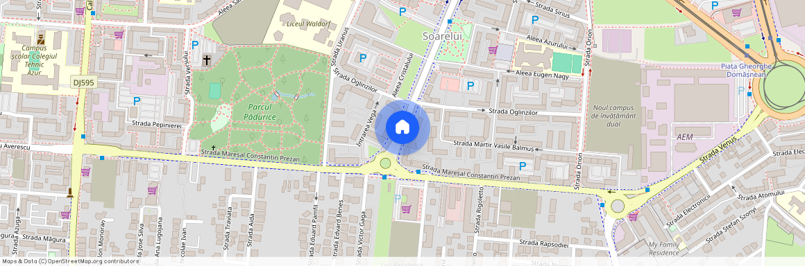 Timis, Timisoara
