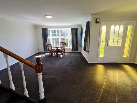 12 Lothian Street, Ilam - Photo 3