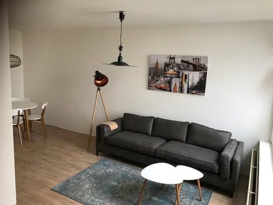 Te huur: Appartement Nicolaas Beetsstraat in Schiedam - Foto 1