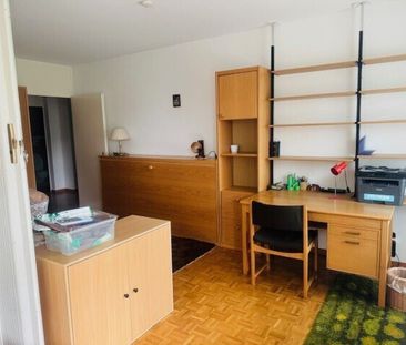 41/2 ROOM APARTMENT IN ZURICH, FURNISHED, TEMPORARY - Foto 6