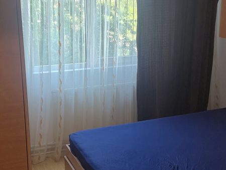 Piata Delfinului. - Photo 2