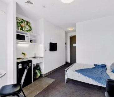 1 Bedroom - Photo 5