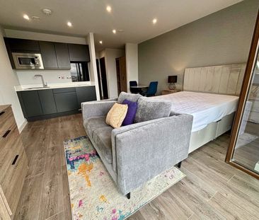 Studio Flat, Parliament Sqaure, L1 - Photo 5