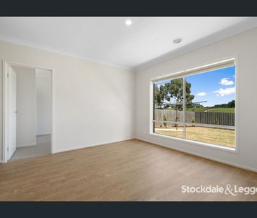 A cut above the rest! - Photo 6