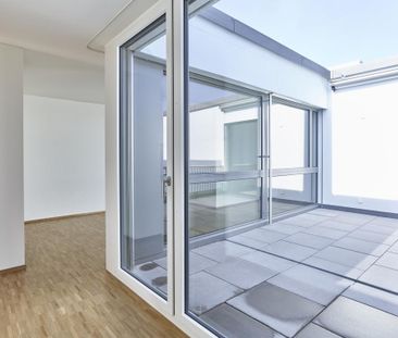 Hier beginnt Ihr neues Zuhause im Zürcher Freilager! - Foto 3