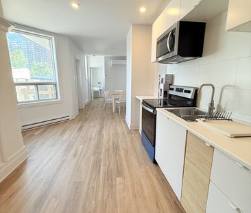 Appartement Sur Le Plateau Mont Royal - Photo 3