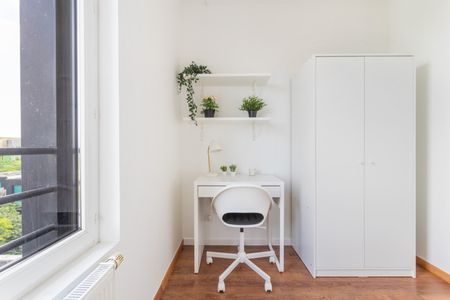 Lille - Hoover - Chambre 2 - Photo 5