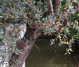 Μεζονέτα για ενοικίαση - Κηφισιά, - Photo 6