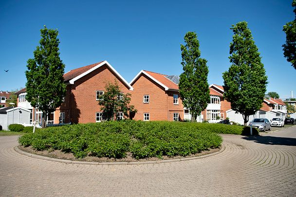 Kærsangerparken - Photo 1