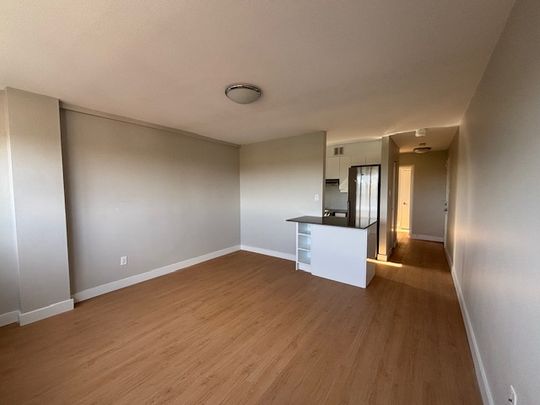 67 - 146 Stewart St - Photo 1