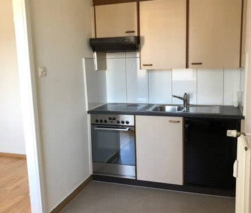 Wohnung mit schöner Aussicht und Gemeinschaftsgarten an der Birs! - Photo 1