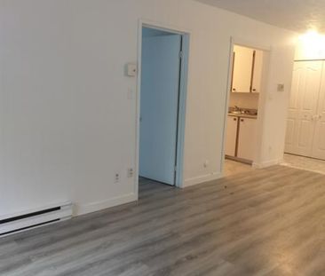 Appartement 1 chambre — 1 mois gratuit ! - Photo 3