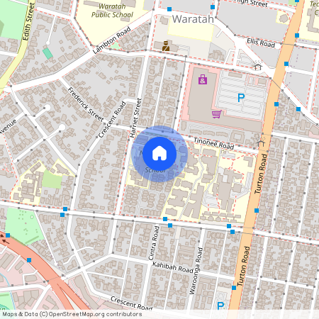 60 Harriet Street, 2298 NSW, Waratah