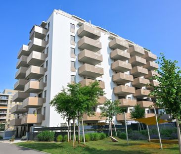 Moderne 2 Zi Wohnung mit Balkon - nahe U1 - Photo 6