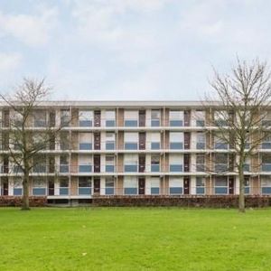 Ogierssingel, 3076 CN Rotterdam, Nederland - Foto 2