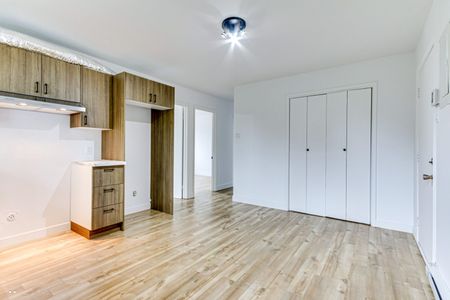 595#6 rue Forget Trois-Rivières - Photo 3