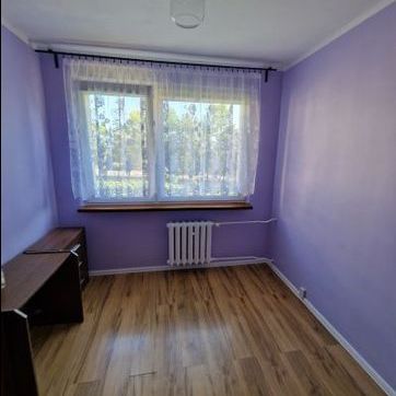 Tychy, T, Armii Krajowej - Mieszkanie na wynajem - Photo 1