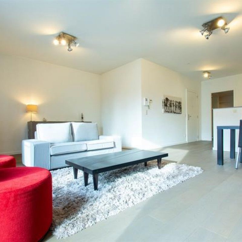 Proche de la Place Sainte-Catherine appartement 2 chambres MEUBLE - Foto 1