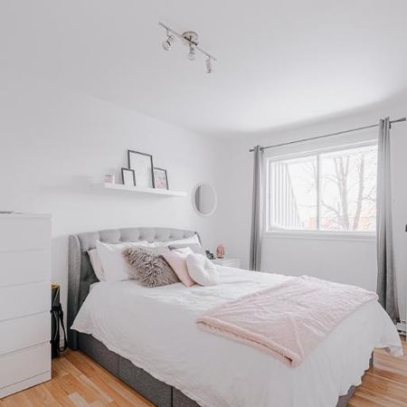 Appartement 5 ½ à louer Beauport janvier 2026 - Photo 4