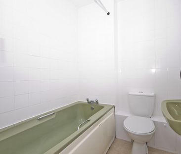 South Ash - Photo 2
