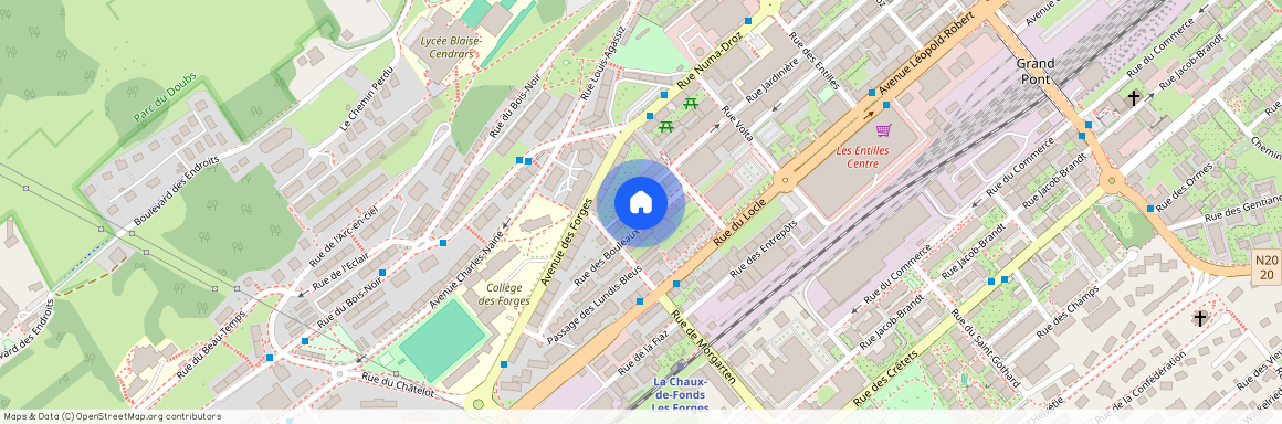 Rue des Bouleaux 8, 2300 La Chaux-de-Fonds