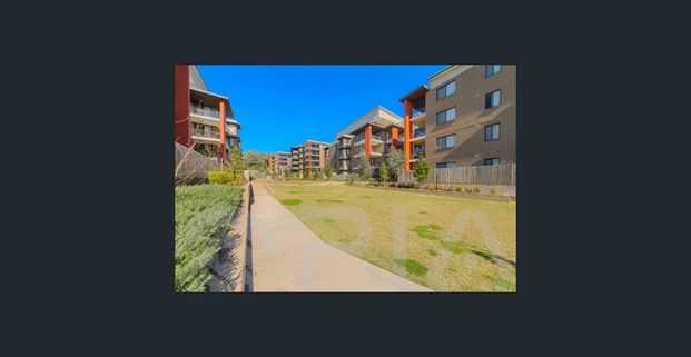 Spacious 4 Bed | 2 Bath | 2 Car | Large Covered Balcony | Floorboards Throughout | Storage Room - Photo 1