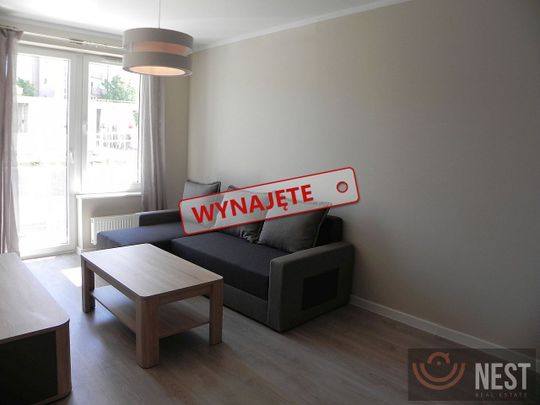 Do wynajęcia dwupokojowy apartament ul. Potulicka 43m2 - Фото 1