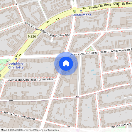 Avenue Louis Gribaumont 121, 1200, Woluwe-Saint-Lambert
