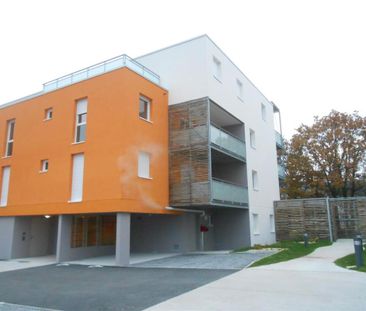 Location Appartement 3 pièces 57m² LA CHAPELLE SUR ERDRE 44240 - Photo 6