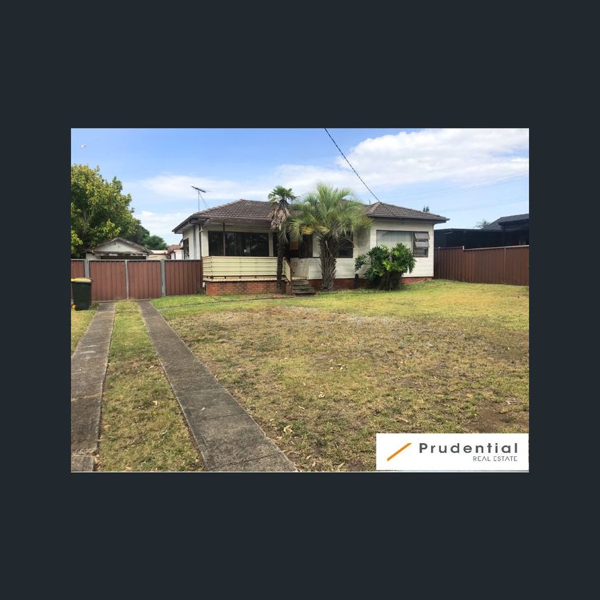 9 Fields Road, Macquarie Fields, NSW 2564 - Photo 1
