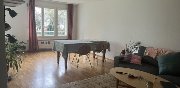APPARTEMENT 2 PIÈCES À ZURICH - KREIS 7 HOTTINGEN, MEUBLÉ, TEMPORAIRE - Foto 2
