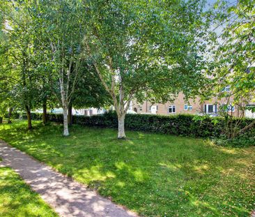 Flat – Purpose Built – 50 Regatta Court, Cambridge 50 - To Rent - Photo 5