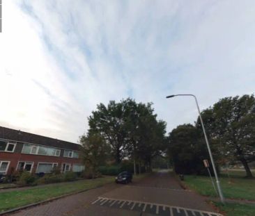 Maison d'angle Rijnstraat 51, Assen - À Louer - Photo 2