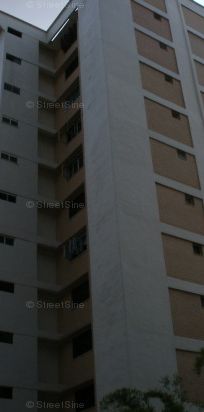 Blk 233 Tampines Street 21 (Tampines), HDB 5 Rooms - For Rent - Photo 1