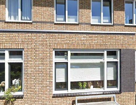 House Houten - Tulpentuin - Foto 1