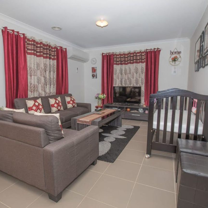 MAGNIFICANT MEWS - Photo 1