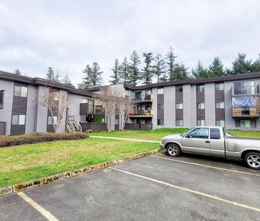 Pinetree Apartments - Photo 4