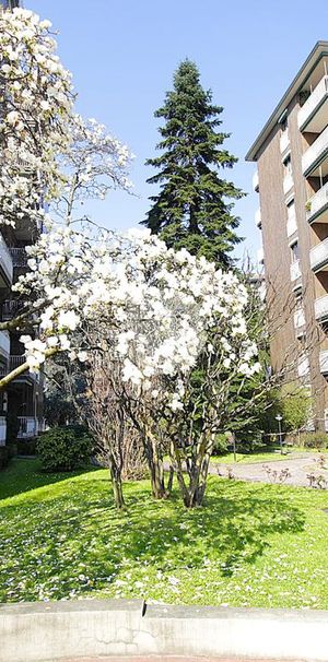 Trilocale in affitto - Photo 1