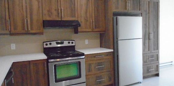 5 ½ Papineau et Louvain 5 électros à Montréal LIBRE - Photo 2