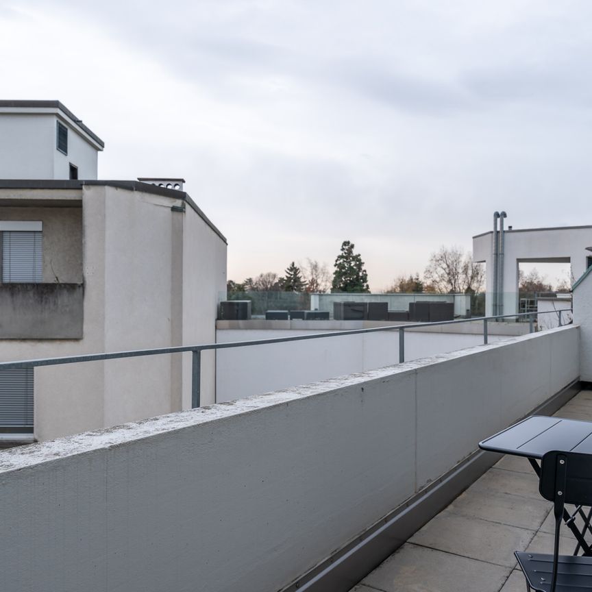 Stilvolle 1.5-Zimmerwohnung mit Terasse nähe Kannenfeldpark - Foto 1