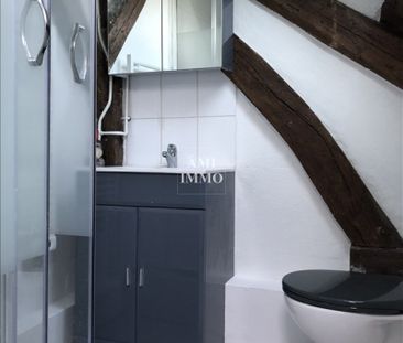 Location Appartement 1 pièce 14m² BIEVRES 91570 - Photo 2