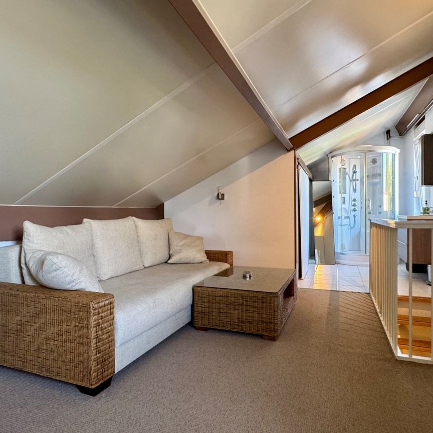 Holtgesbroek - Foto 1