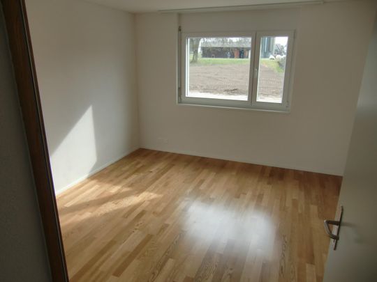 4.5 Zimmer, 131 m², EG - Photo 1
