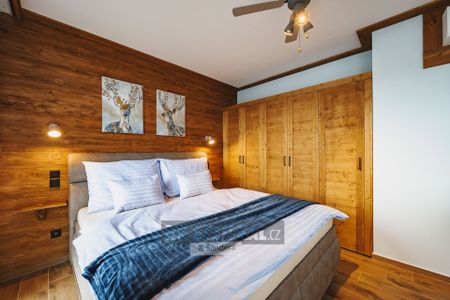 Pronájem bytu 1+kk a garsoniéry 38 m², Frymburk - Photo 4